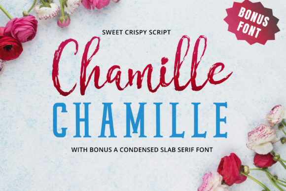 Chamille Script for Creative Branding and Handwritten Design