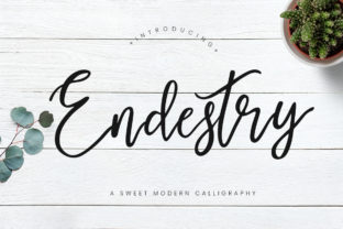 Endestry: A Script Font for Editorial Elegance and Branding